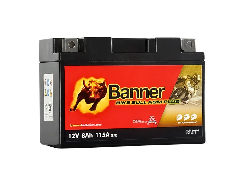 battery683728