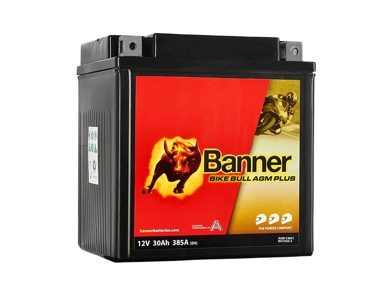 battery683823