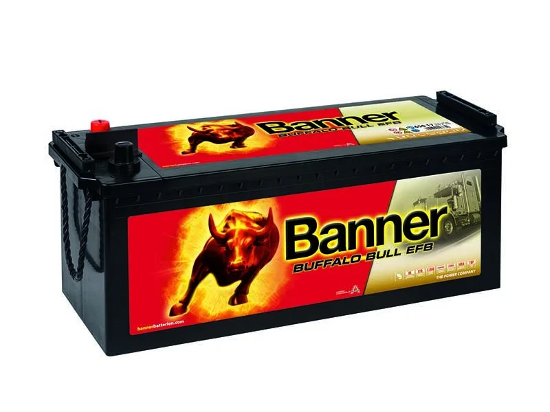 battery690555