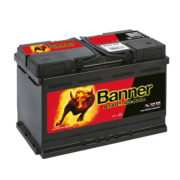 battery697240