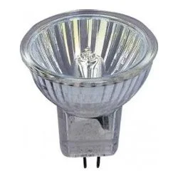 eneshop20261017094053713908