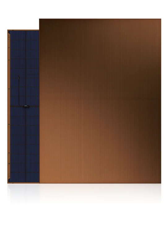 nejpanely710117
